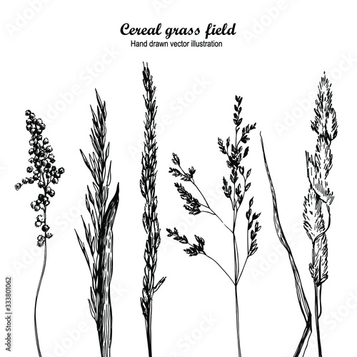 Cereal grass field hand-drawn pattern