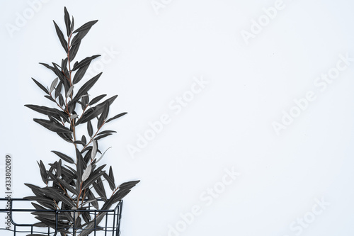 Black leaves with black basket on white background. Flat lay  top view  space.