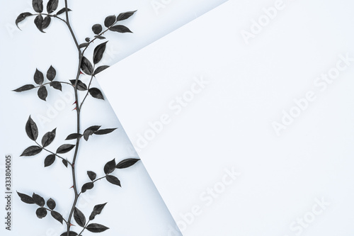 Black leaves on white background. Flat lay, top view, space.