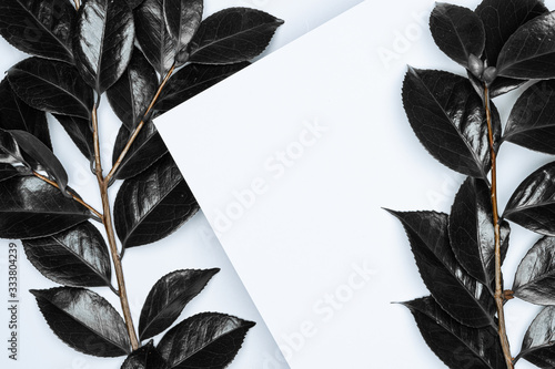 Black leaves on white background. Flat lay, top view, space.