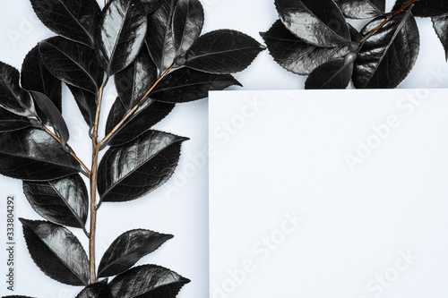 Black leaves on white background. Flat lay, top view, space.