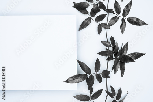 Black leaves on white background. Flat lay, top view, space.