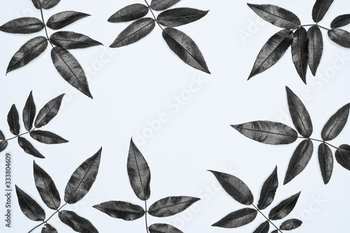 Black leaves on white background. Flat lay, top view, space.