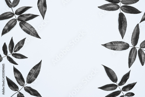 Black leaves on white background. Flat lay, top view, space.