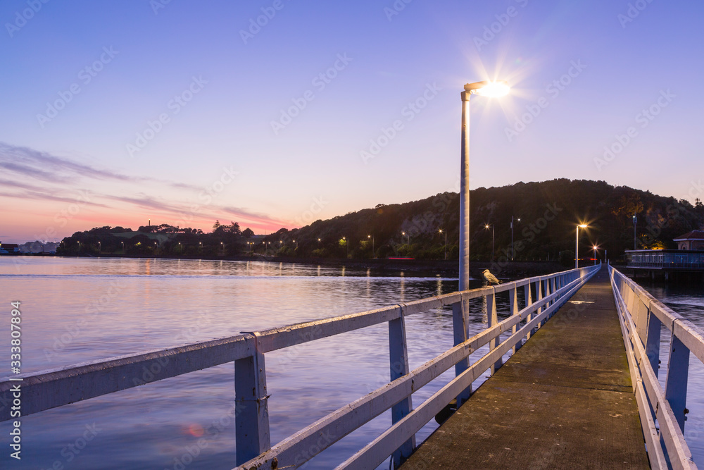 ニュージーランド　オークランドの早朝の桟橋