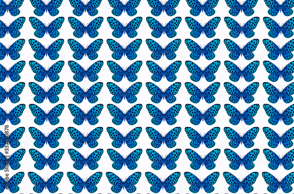Blue butterfly pattern on white background Blue butterfly pattern on white background