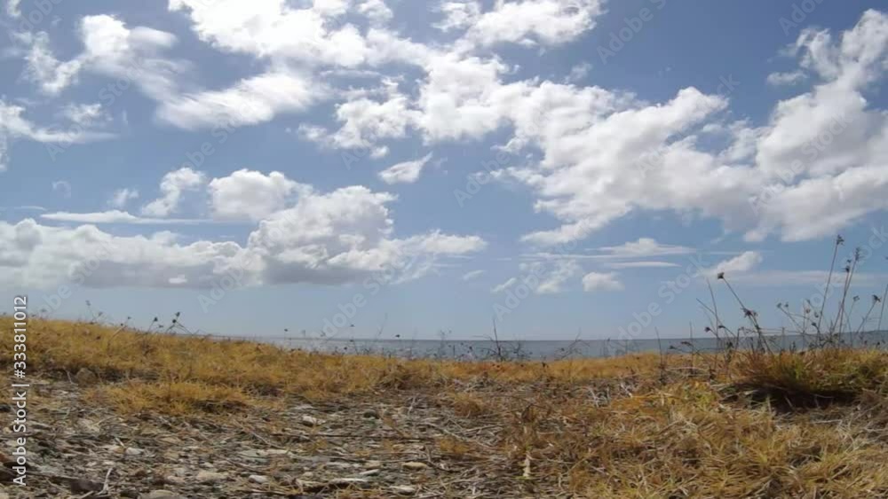 Blue sky golden grass on the Cliff of Dominica Republic  gorgeou