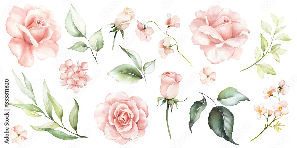 Watercolour floral illustration set. DIY flower, green leaves elements collection - for bouquets, wreaths, arrangements, wedding invitations, anniversary, birthday, postcards, greetings, cards, logo. - obrazy, fototapety, plakaty 
