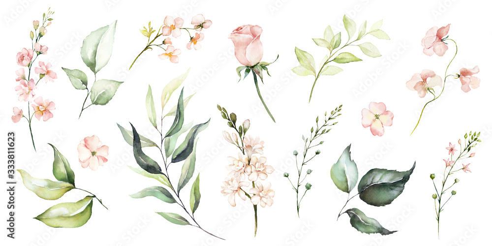 Fototapeta Watercolour floral illustration set. DIY flower, green leaves elements collection - for bouquets, wreaths, arrangements, wedding invitations, anniversary, birthday, postcards, greetings, cards, logo.
