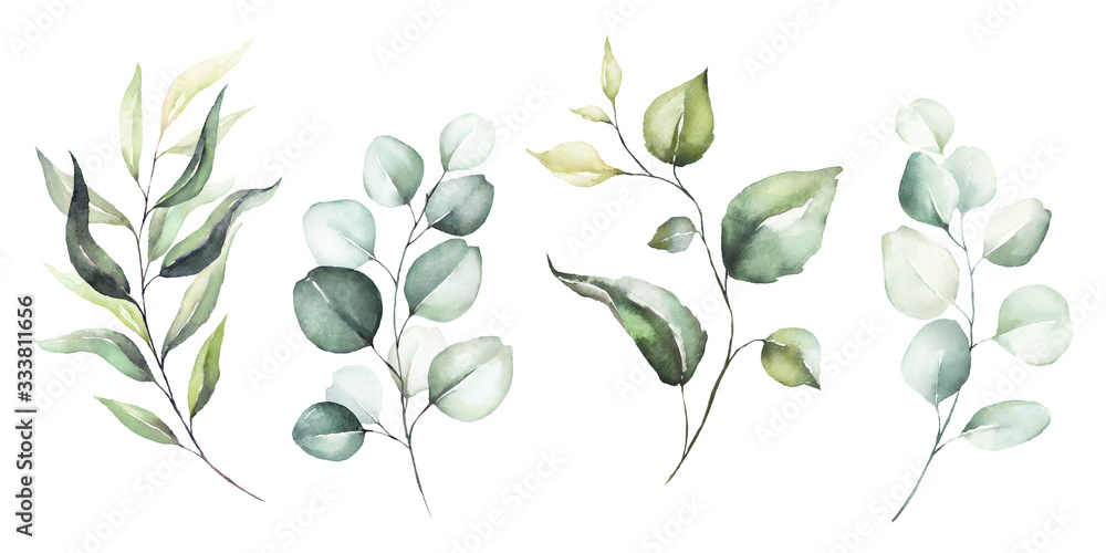 Fototapeta Watercolor floral illustration set - green leaf branches collection, for wedding stationary, greetings, wallpapers, fashion, background. Eucalyptus, olive, green leaves, etc.
