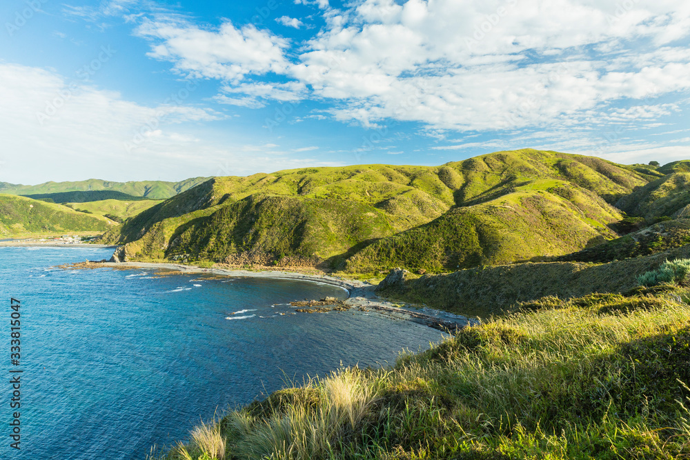 Obraz premium ニュージーランド ウェリントン近郊のマカラビーチの風景