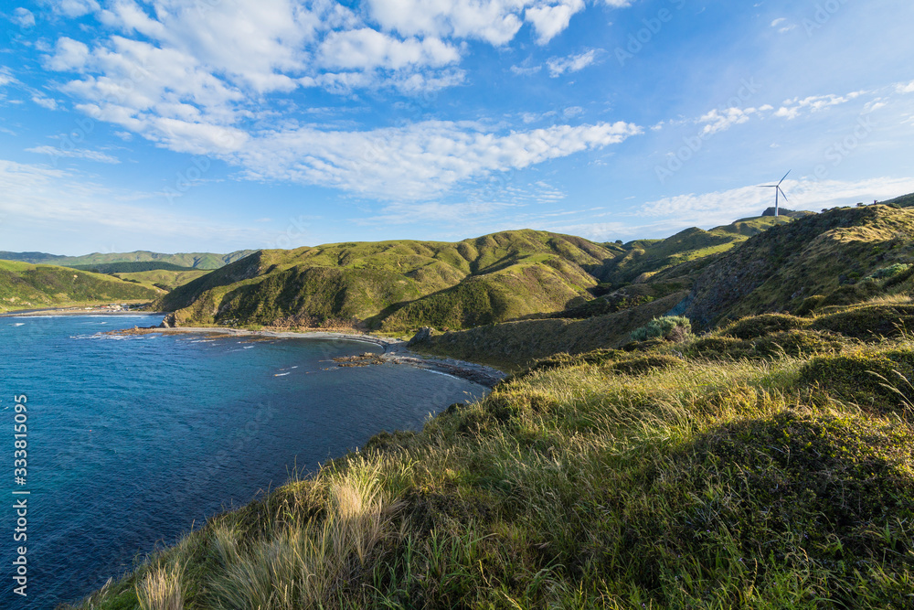ニュージーランド　ウェリントン近郊のマカラビーチの風景