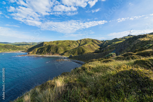 ニュージーランド ウェリントン近郊のマカラビーチの風景
