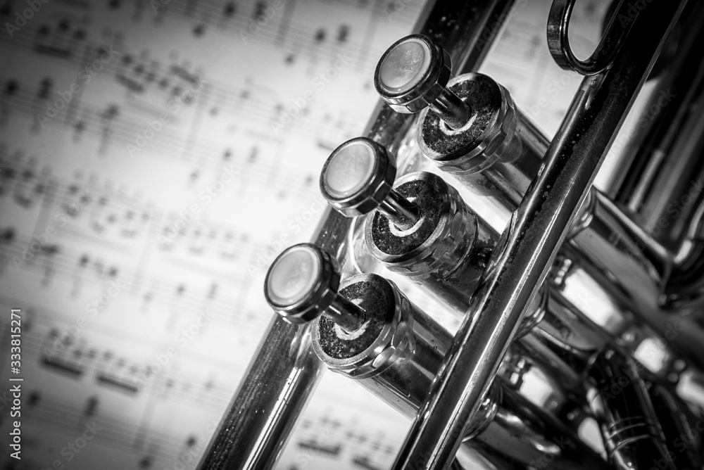 Obraz premium Trumpet Piece