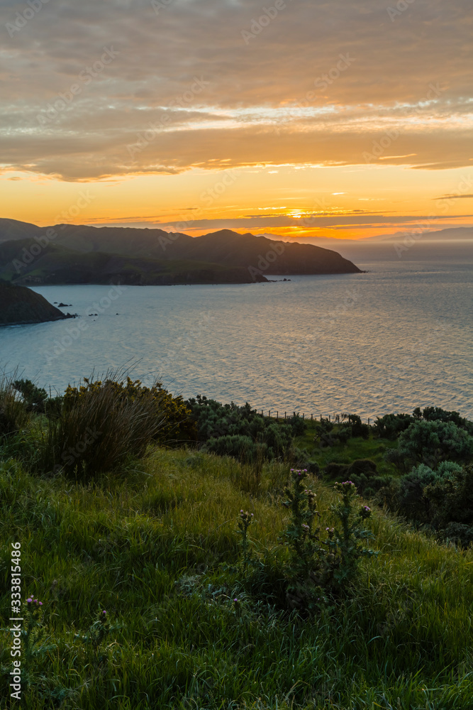 ニュージーランド　ウェリントン近郊のマカラ・ウォークウェイの丘からの夕日