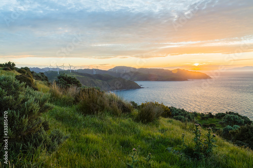 ニュージーランド ウェリントン近郊のマカラ・ウォークウェイの丘からの夕日