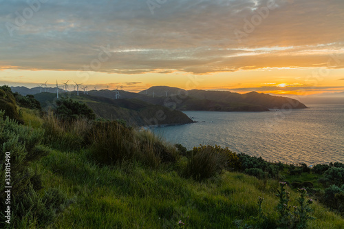 ニュージーランド ウェリントン近郊のマカラ・ウォークウェイの丘からの夕日