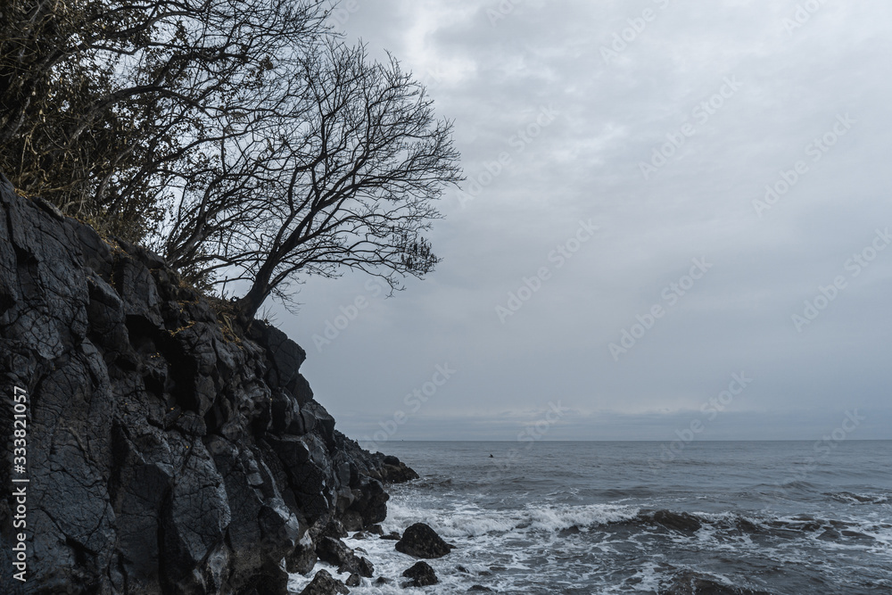 Melancholy Beach Scene, Cloudy sky and Dry Trees Melancholy Beach Scene, Cloudy sky and Dry Trees