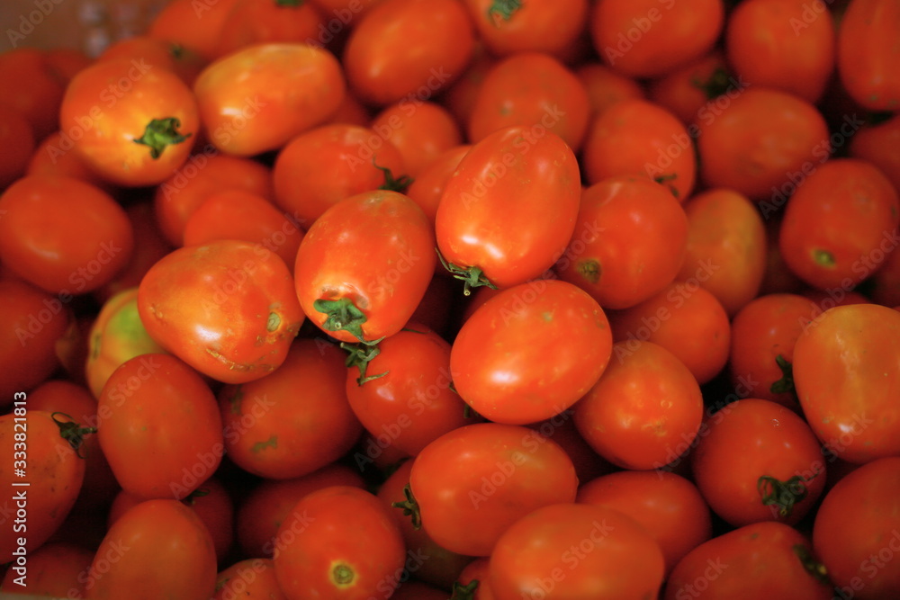 tomatoes on a black background tomatoes on a black background