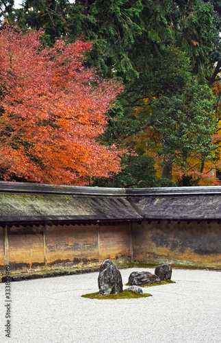 Ryoanji Temple rock garden, autumn scenery in Kyoto Japan