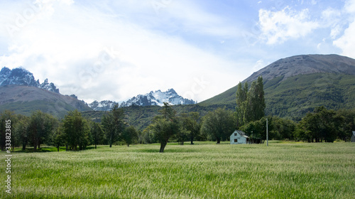 meadow in the mountains