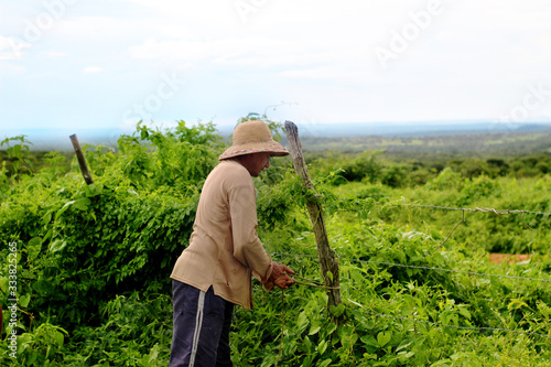 AGRICULTOR TRABALHANDO