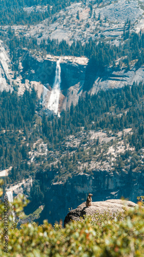 California Yosemite Mountains Nature Wildlife