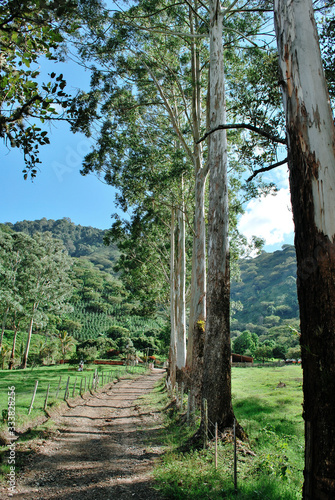 Colombian coffee process with beautiful landscapes