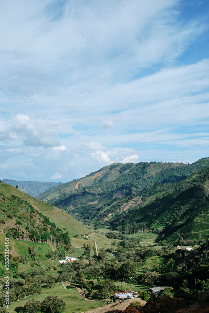 Naklejka premium Colombian coffee process with beautiful landscapes