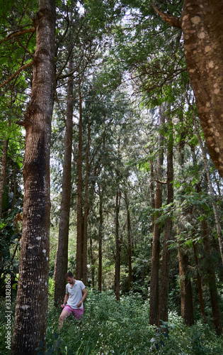Caucasian men walking and exploring a trek trail in a forest