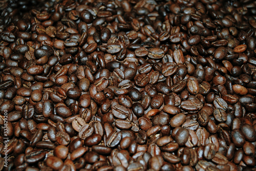 Colombian coffee process with beautiful landscapes Colombian coffee process with beautiful landscapes