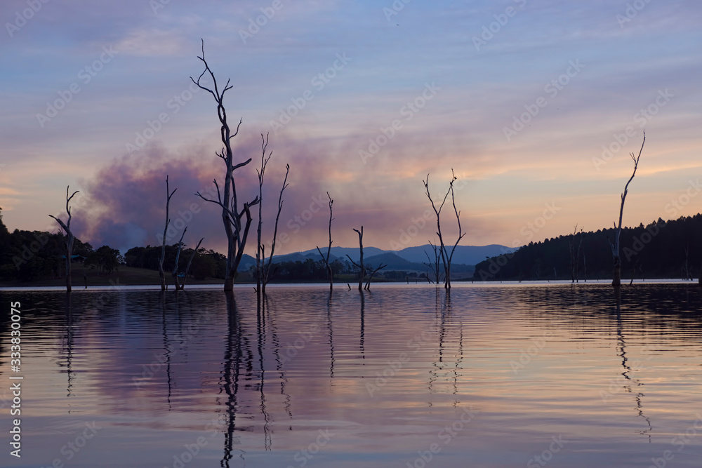 Pastel coloured sunset with reflections of dead trees in Lake Tinaroo Pastel coloured sunset with reflections of dead trees in Lake Tinaroo