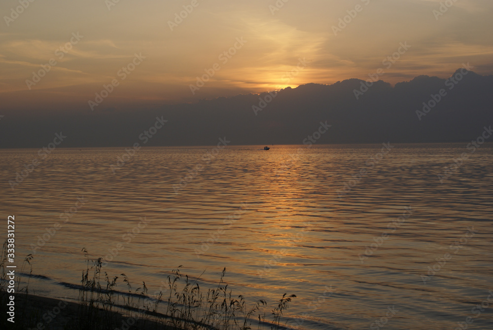 the silhouette of grasses against the background of the sun setting behind clouds over the sea the silhouette of grasses against the background of the sun setting behind clouds over the sea