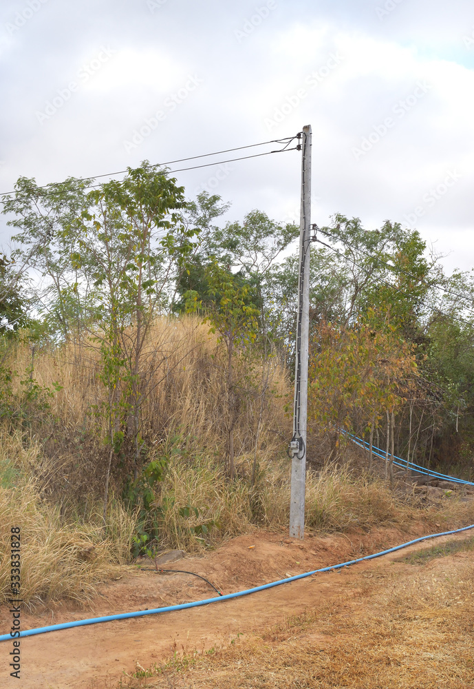 Fototapeta premium Water pipes on the dry ground in rural areas