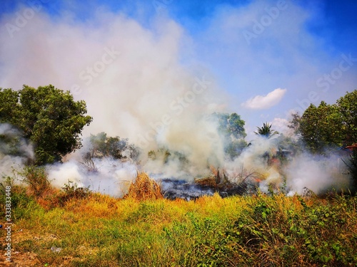 Dirty smoke.,smoke and fire., Controlled burning of vegetation.