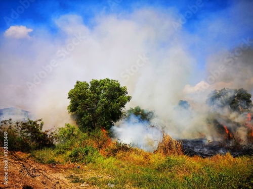 Dirty smoke.,smoke and fire., Controlled burning of vegetation.