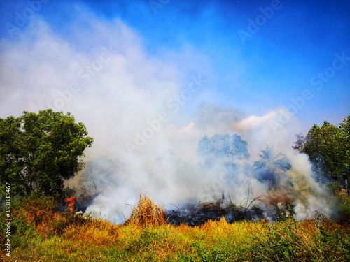 Dirty smoke.,smoke and fire., Controlled burning of vegetation.