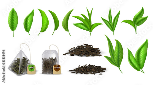 Tea leaves. Realistic green and dried tea leaves, design elements for advertising, branches leaf and bags. Vector set illustration curved aromatic greens leaf isolated on white photo