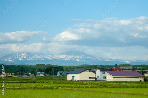 北海道の農場