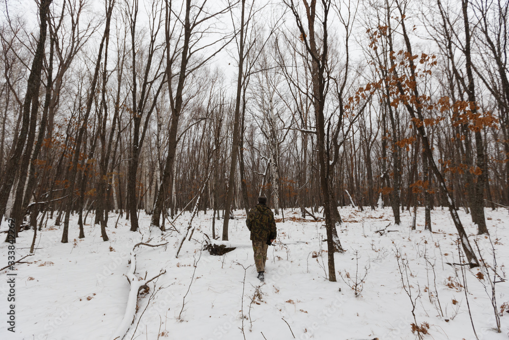 Fototapeta premium Leopard Land National Park. A man in camouflage uniform and a backpack walks in the snow in a wild beautiful forest