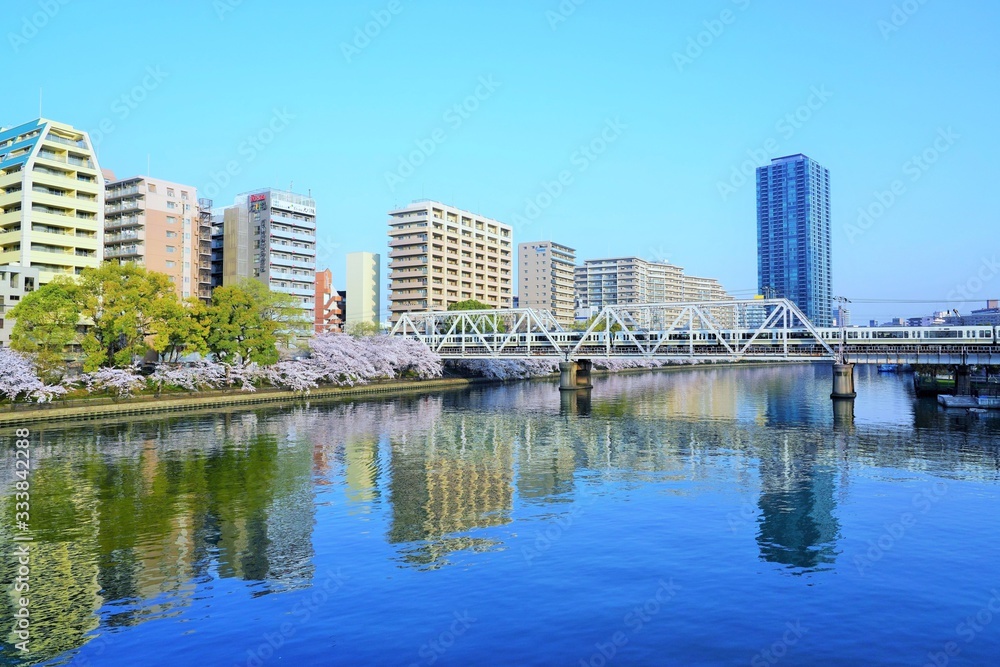 大阪・桜ノ宮の桜