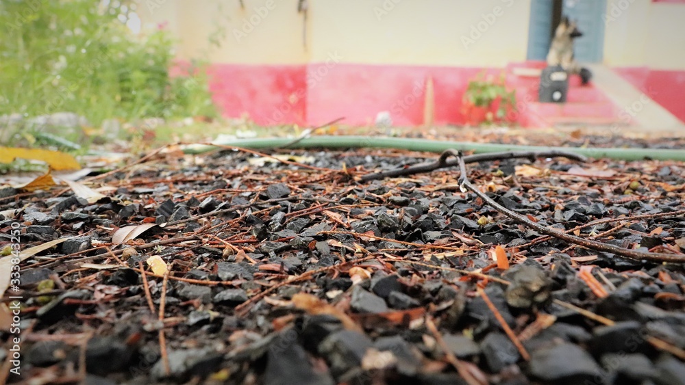 Obraz premium STONY BACKGROUND WITH LEAVES.