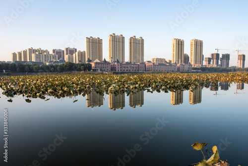 The river skyline of the city park reflects its reflection and the scene of the remnant lotus pond