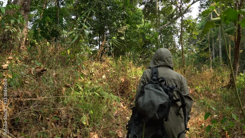 Hipster woman walking to the forest for hiking on mountain. Hipster woman walking to the forest for hiking on mountain.