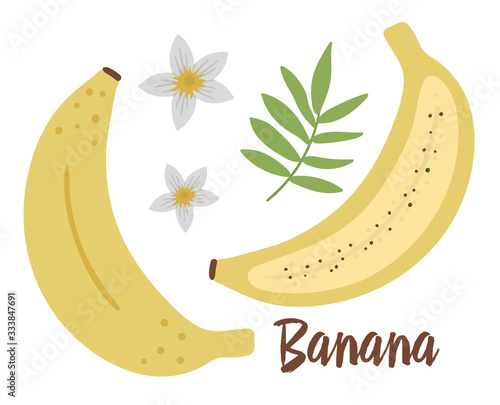 Vector banana clip art. Jungle fruit illustration. Hand drawn flat exotic plants isolated on white background. Bright childish healthy tropical summer food illustration..