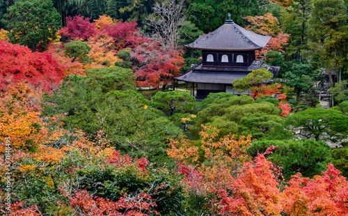 Autumn lavdscape of Kyoto garden, Japan. © borisbelenky