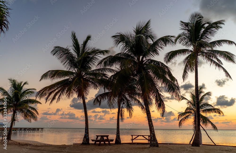 Sunrise San Pedro Belize Beach Palms Central America
