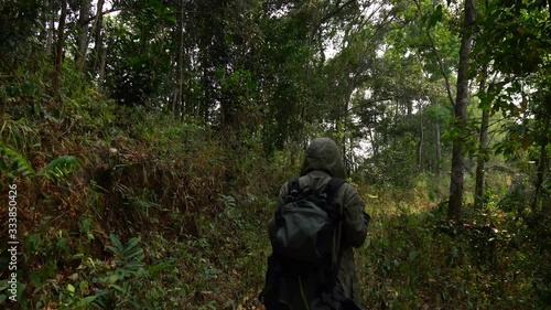 Wallpaper Mural woman walking to the forest for hiking on mountain. Torontodigital.ca