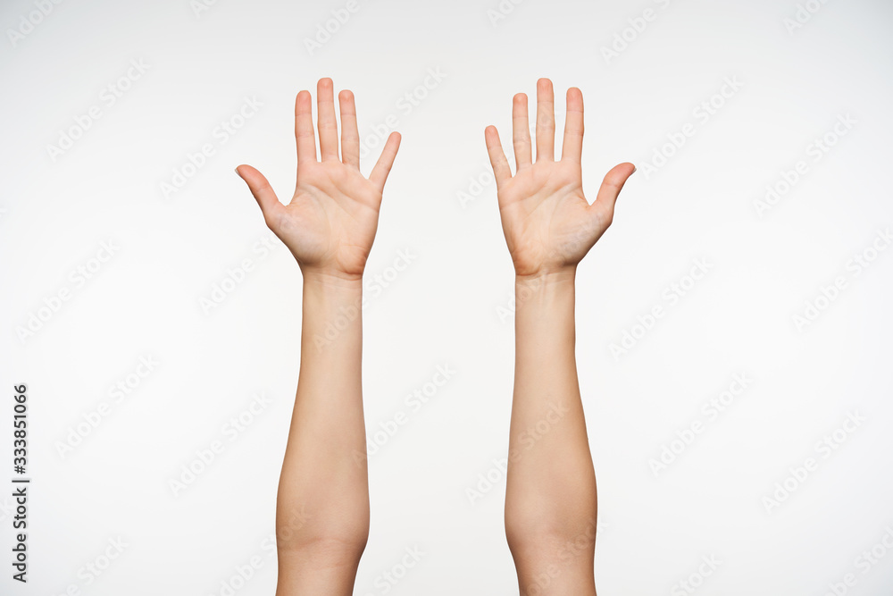 Young pretty fair-skinned female raised hands while isolated over white background, showing her palms to camera and keeping all fingers separetely Young pretty fair-skinned female raised hands while isolated over white background, showing her palms to camera and keeping all fingers separetely