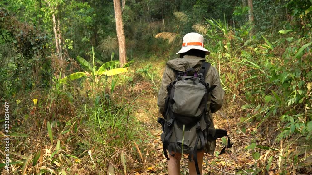 woman walking to the forest for hiking on mountain. woman walking to the forest for hiking on mountain.